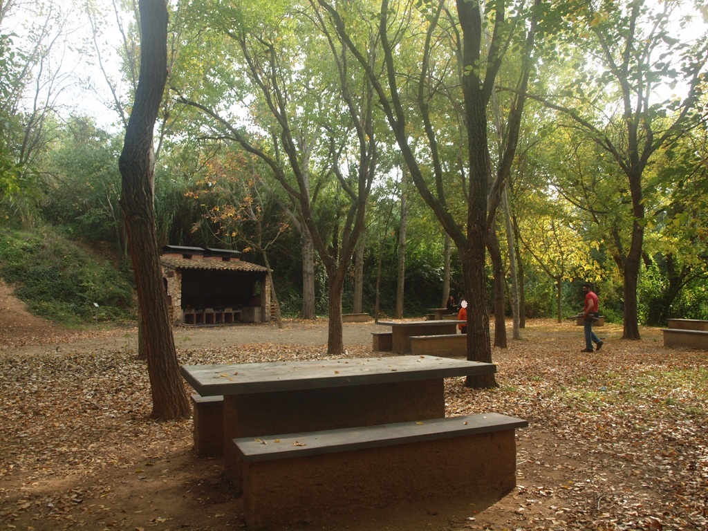 Zona de pícnic